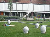 BLÜTENZAUBER