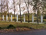 SCHWEBENDE KOKONS